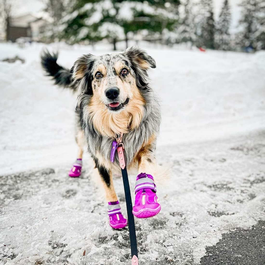 Dog Shoes for Large Dogs, Medium Dog Boots & Paw Protectors for Winter Snowy Day, Summer Hot Pavement, Water-Resistant in Rainy Weather, Outdoor Walking, Indoor Hardfloors Skid-Resistant Sole