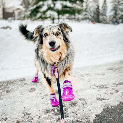 Dog Shoes for Large Dogs, Medium Dog Boots & Paw Protectors for Winter Snowy Day, Summer Hot Pavement, Water-Resistant in Rainy Weather, Outdoor Walking, Indoor Hardfloors Skid-Resistant Sole